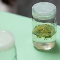 秋の味覚と体調ケア：食欲の秋における胃腸の整え方