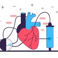 高齢者における健康寿命延伸のための運動習慣とその科学的根拠