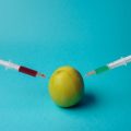 発酵食品の季節性と健康効果：味噌、納豆、漬物の食養生