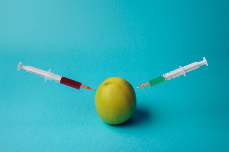 発酵食品の季節性と健康効果：味噌、納豆、漬物の食養生
