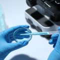 腸内細菌叢を整えるための発酵食レシピ集――家庭でできる和風アレンジ