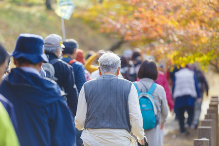 現代日本社会でのSNSストレスとその健全な距離感