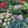 野菜の多様性と和食における彩り・栄養のポイント