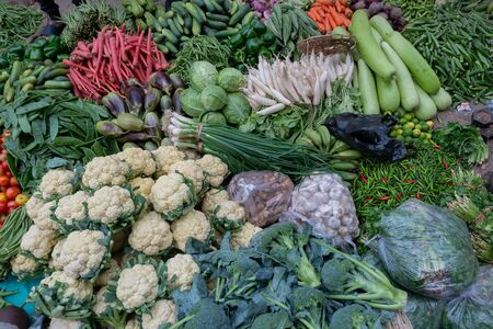 野菜の多様性と和食における彩り・栄養のポイント