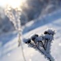冷え性と心のストレス―心身両面からのアプローチ