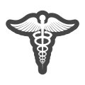 鍼灸師の資格取得と教育制度の現状