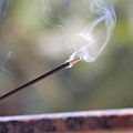 香道と薬膳の精神性に学ぶ日本的ウェルネス