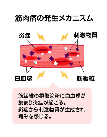 心身のリラックスと安眠のポイント