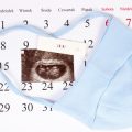 妊娠初期のつわりと上手に付き合う和の食事・生活習慣