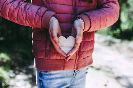 感情に寄り添う和の習慣――四季折々の心の整え方
