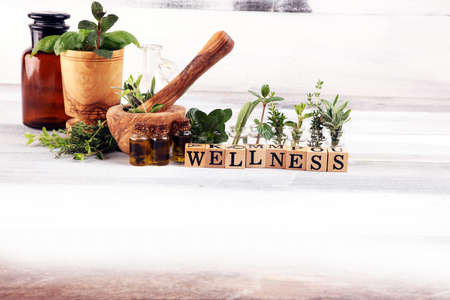 和の空間で体験する瞑想リトリートの魅力